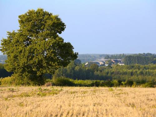 Cul-des-Sarts Code Promo Belgique Booking.com