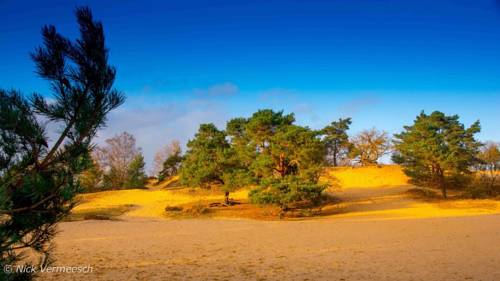 Neerglabbeek Belgium Promo Code Booking.com
