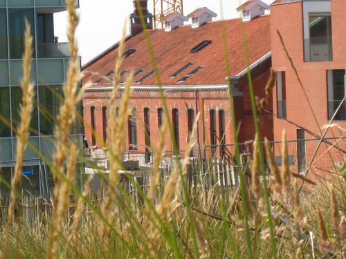 Oostende Belgium Promo Code Booking.com