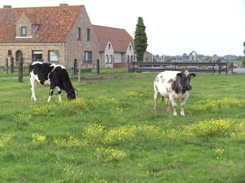 De Haan Code Promo Belgique Booking.com