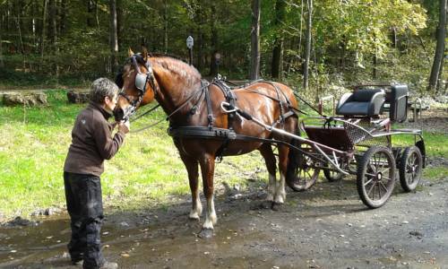 Aywaille Belgie promotiecode Booking.com