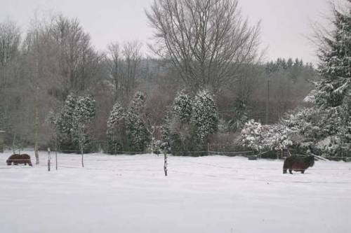 Les Hautes Fagnes-Sourbrodt Belgien Rabattcode Booking.com