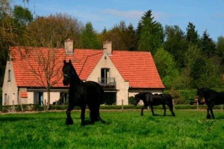 Herstberge Belgien Rabattcode Booking.com