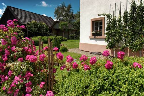 Büllingen Belgie promotiecode Booking.com